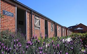 Dusty Hill Vineyard - Moffatdale